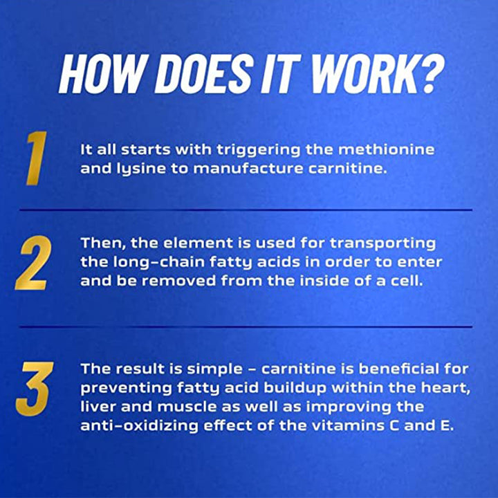 Ronnie Coleman Signature Series L-Carnitine - 3000 Mg Liquid